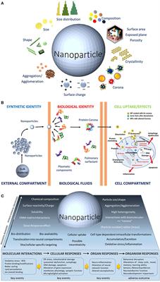 The Challenges of 21st Century Neurotoxicology: The Case of Neurotoxicology Applied to Nanomaterials